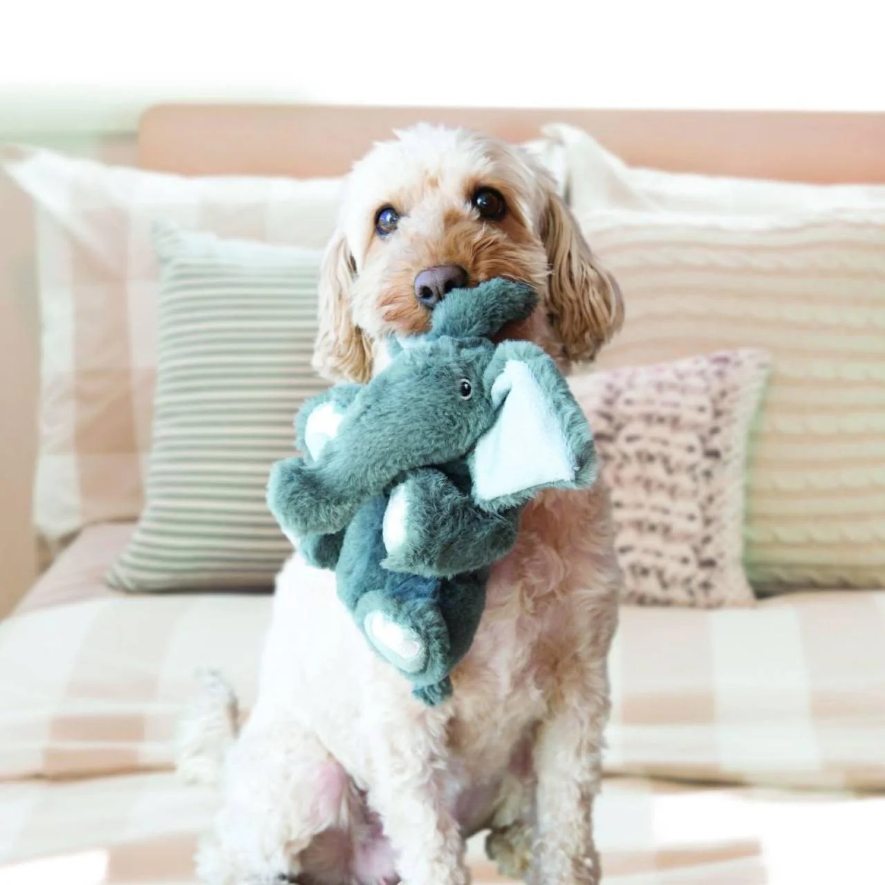 KONG Comfort Kiddos Elephant Dog Toy - Image 2