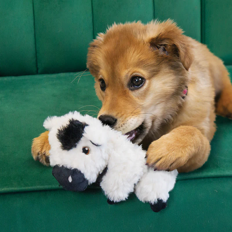 KONG Comfort Tykes Cow Dog Toy - Image 6