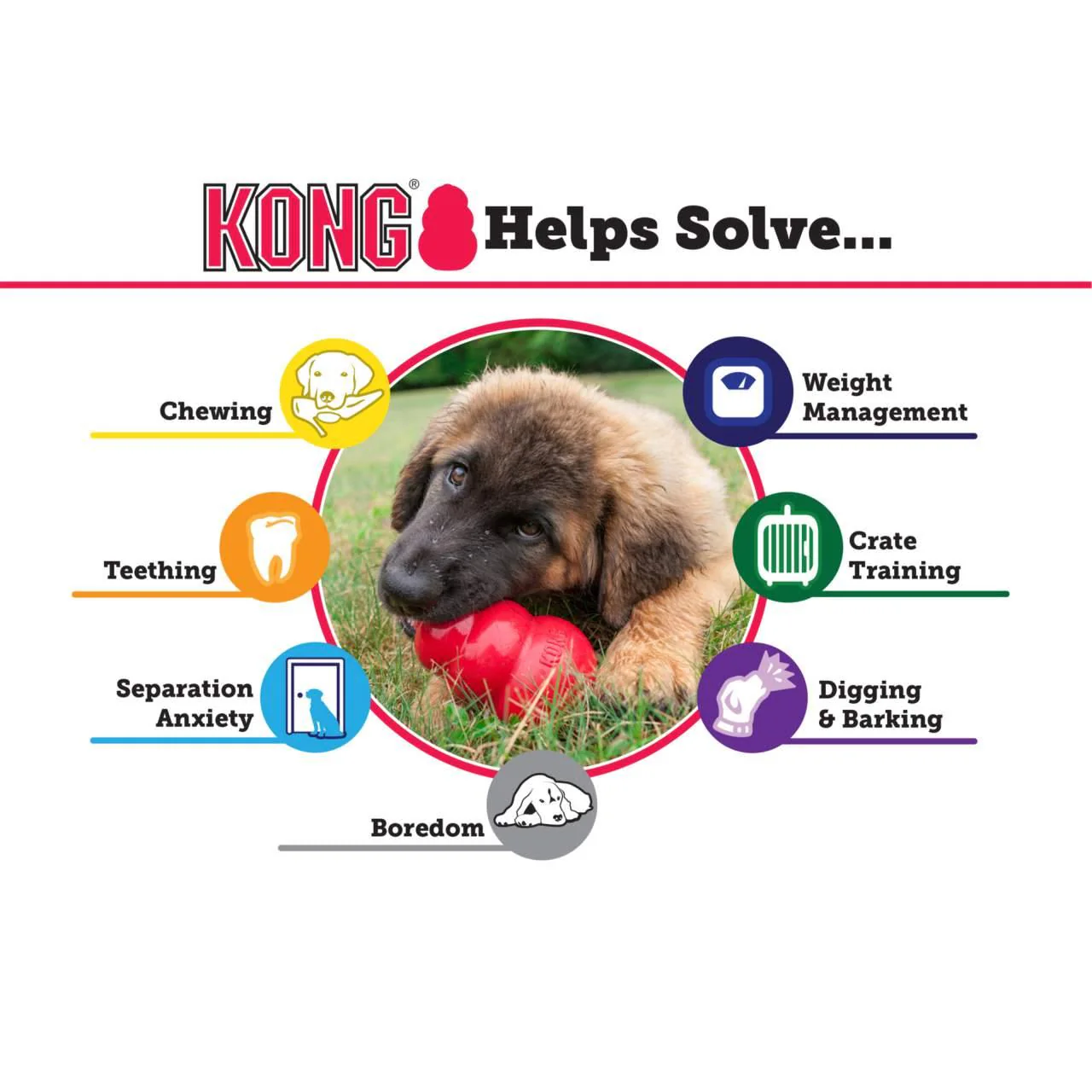KONG Extreme Black Chew Dog Toy - Image 3