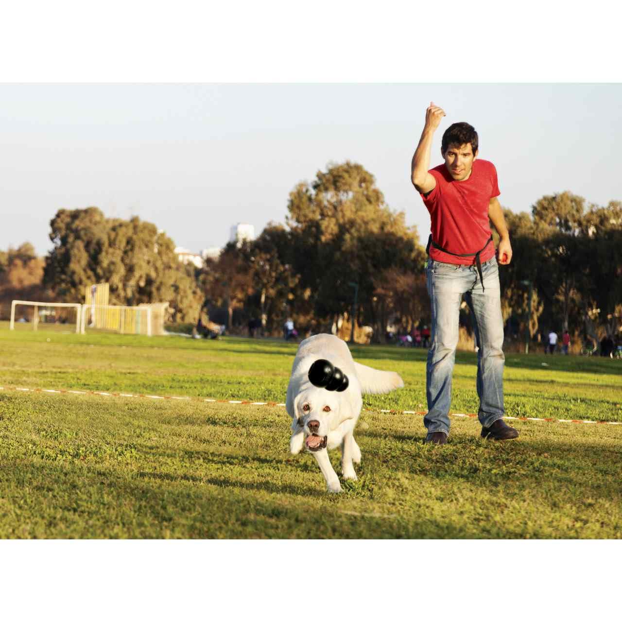 KONG Extreme Black Chew Dog Toy - Image 7