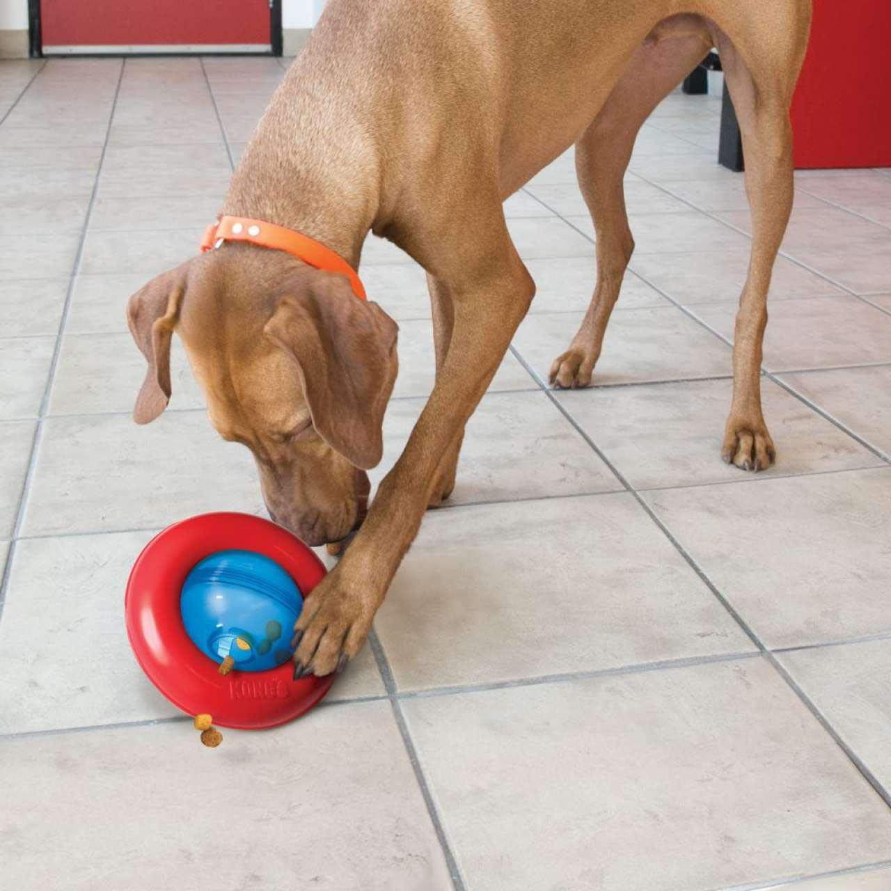 KONG Gyro Treat Dispensing Dog Toy - Image 2