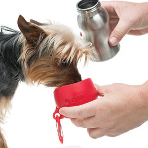 KONG H2O Stainless Steel Red Dog Water Bottle - Image 3