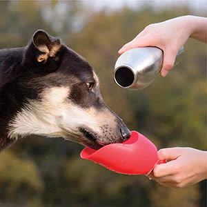 KONG H2O Stainless Steel Red Dog Water Bottle - Image 5