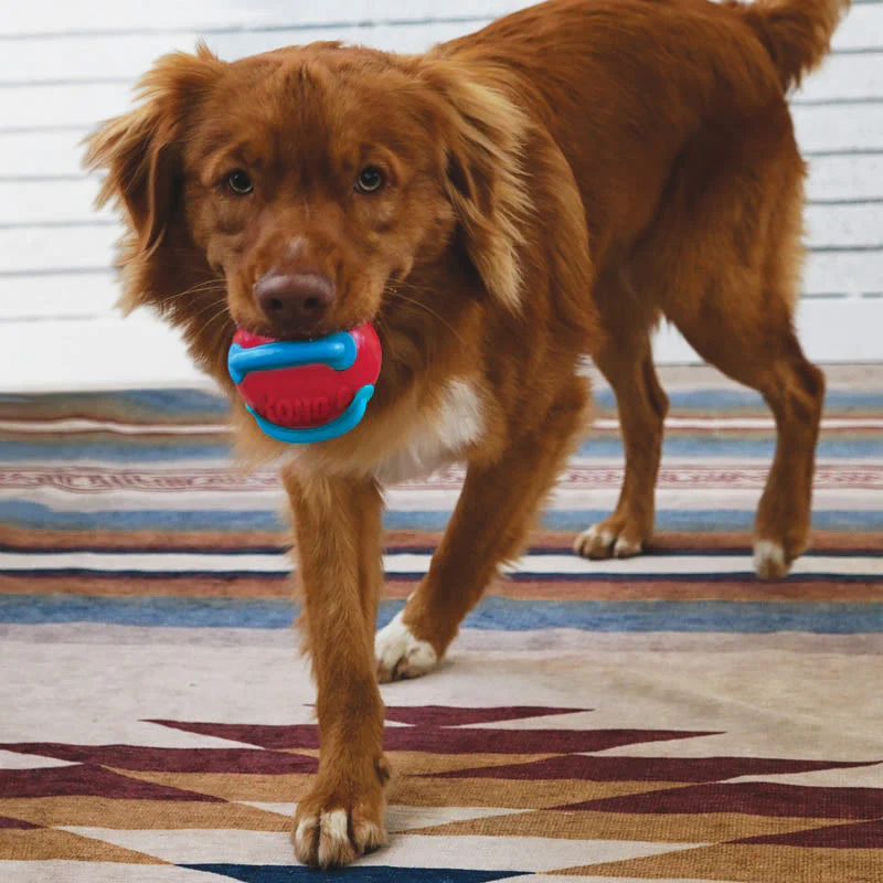 KONG Jaxx Brights Ball Medium Red & Yellow Dog Toy - Image 4