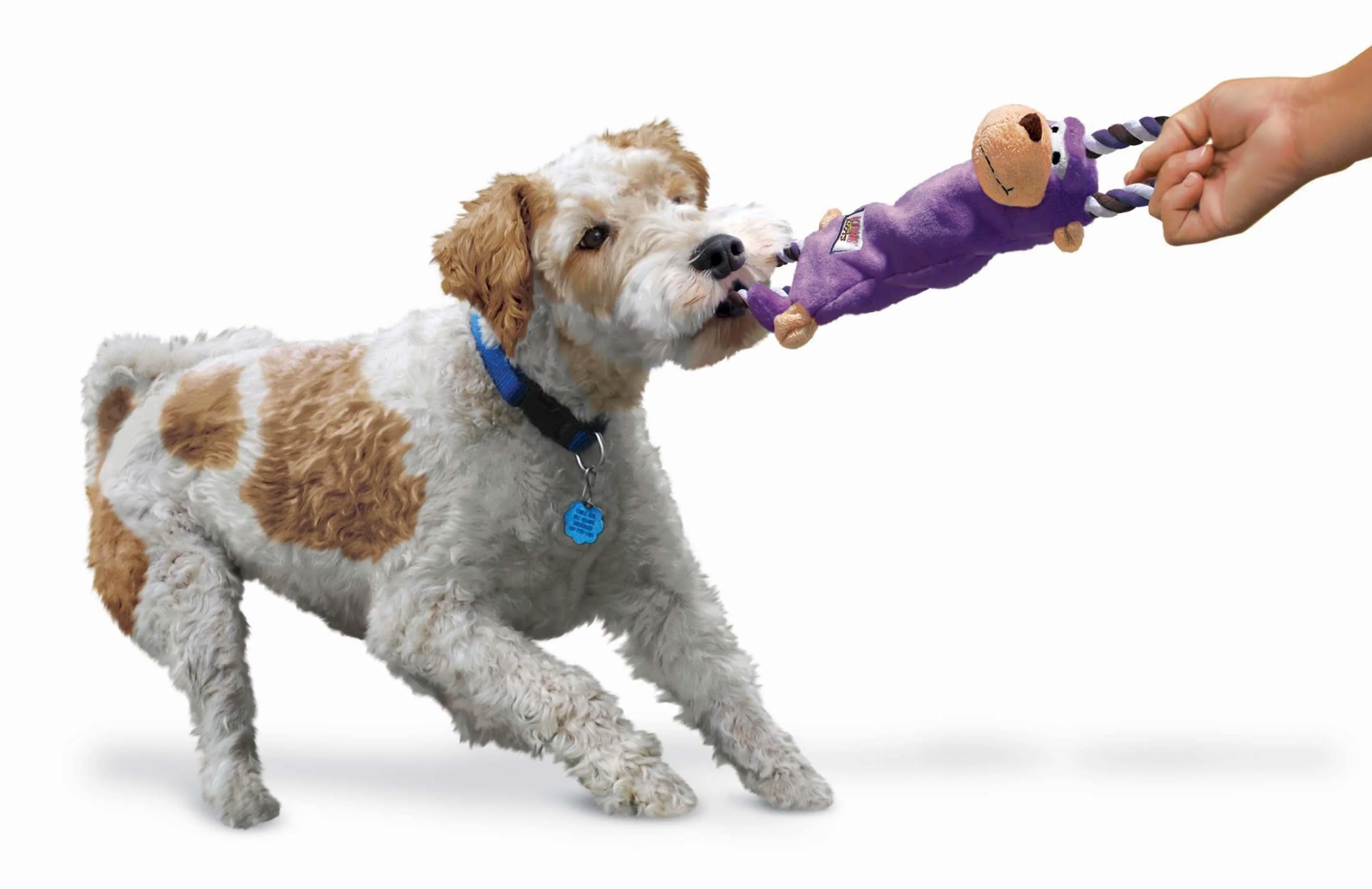KONG Monkey Rope Dog Toy - Image 2