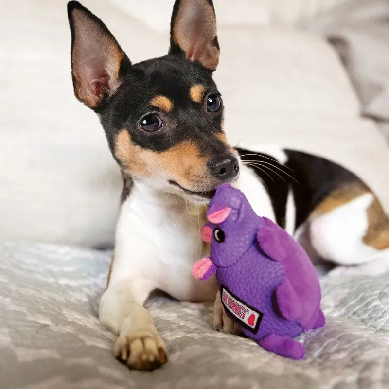 KONG Phatz Hippo Dog Toy - Image 4