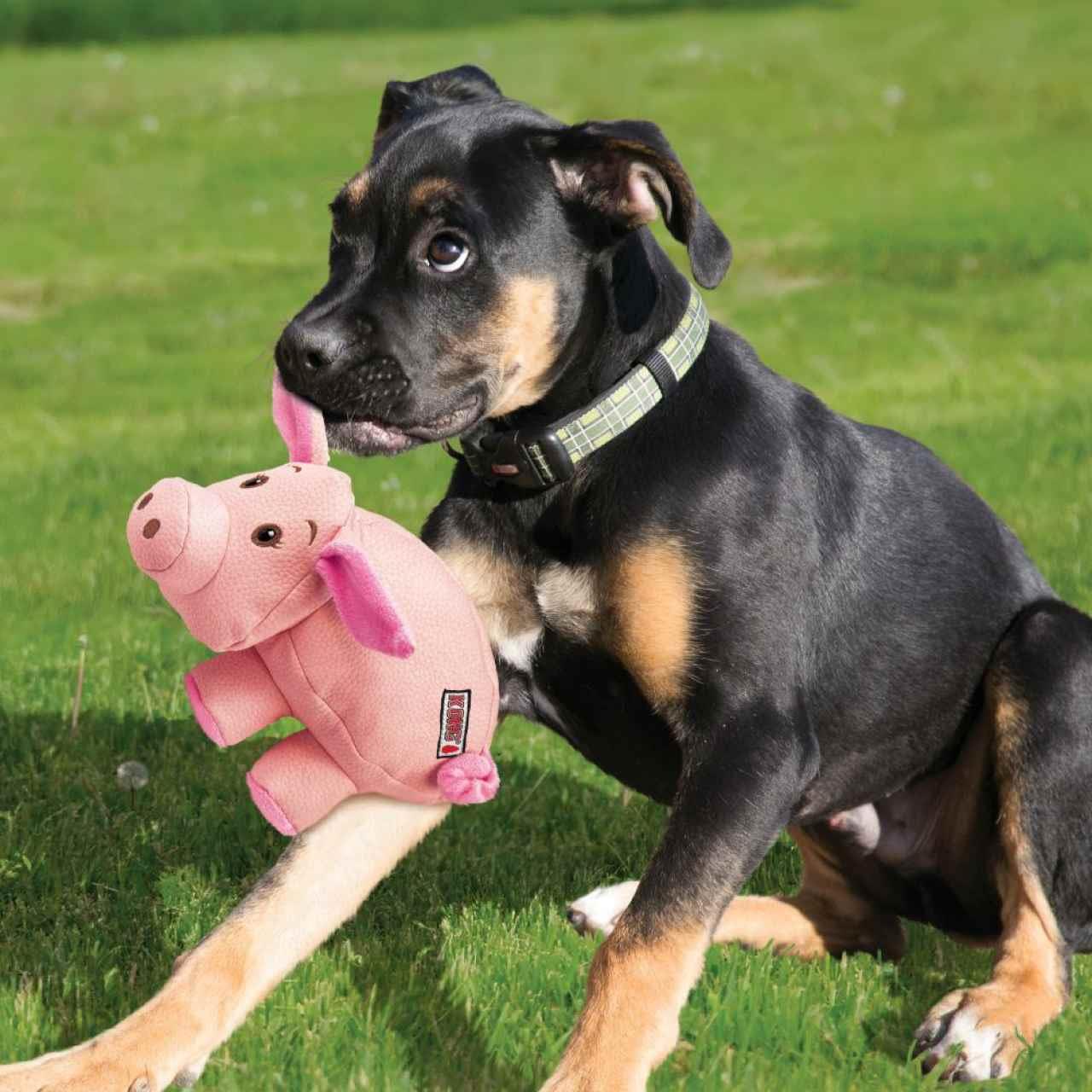 KONG Phatz Pig Dog Toy - Image 2