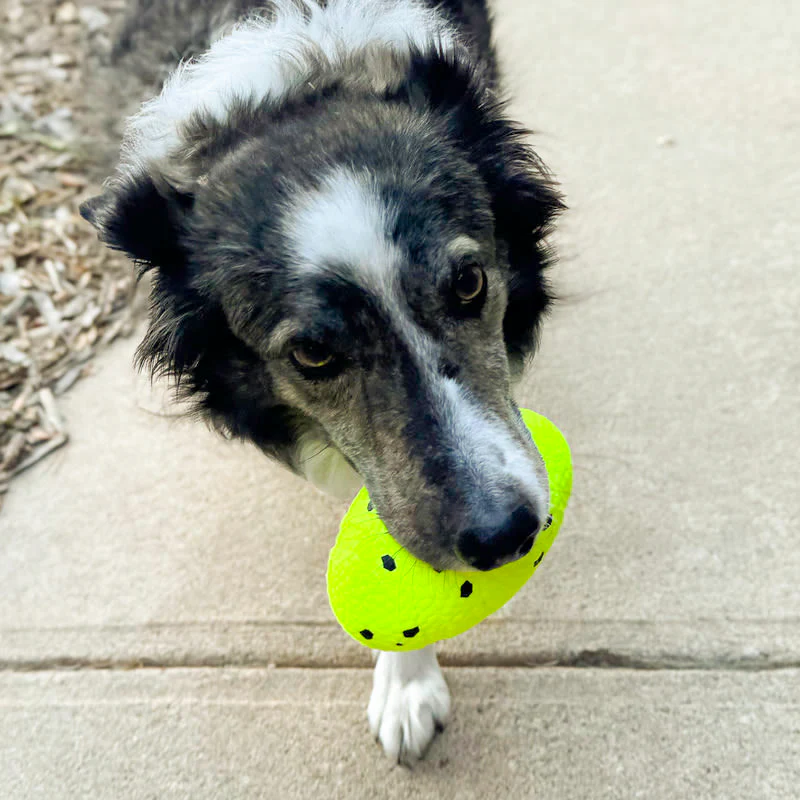 KONG Reflex Football Dog Toy - Image 4