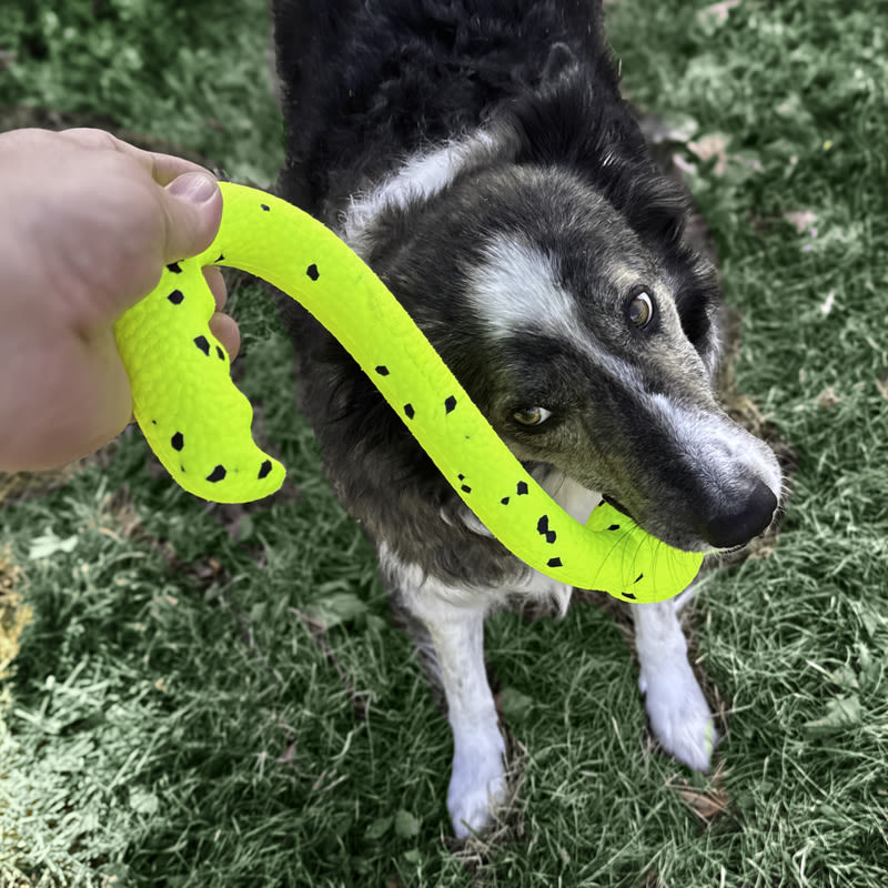 KONG Reflex Tug 'n Fetch Dog Toy - Image 4