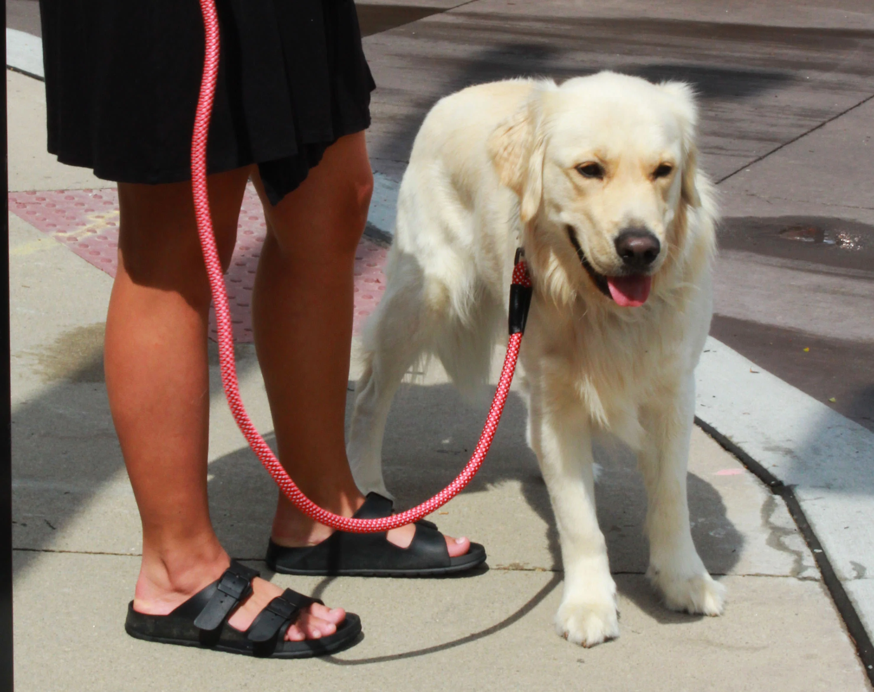 KONG Rope Red Dog Leash - Image 2