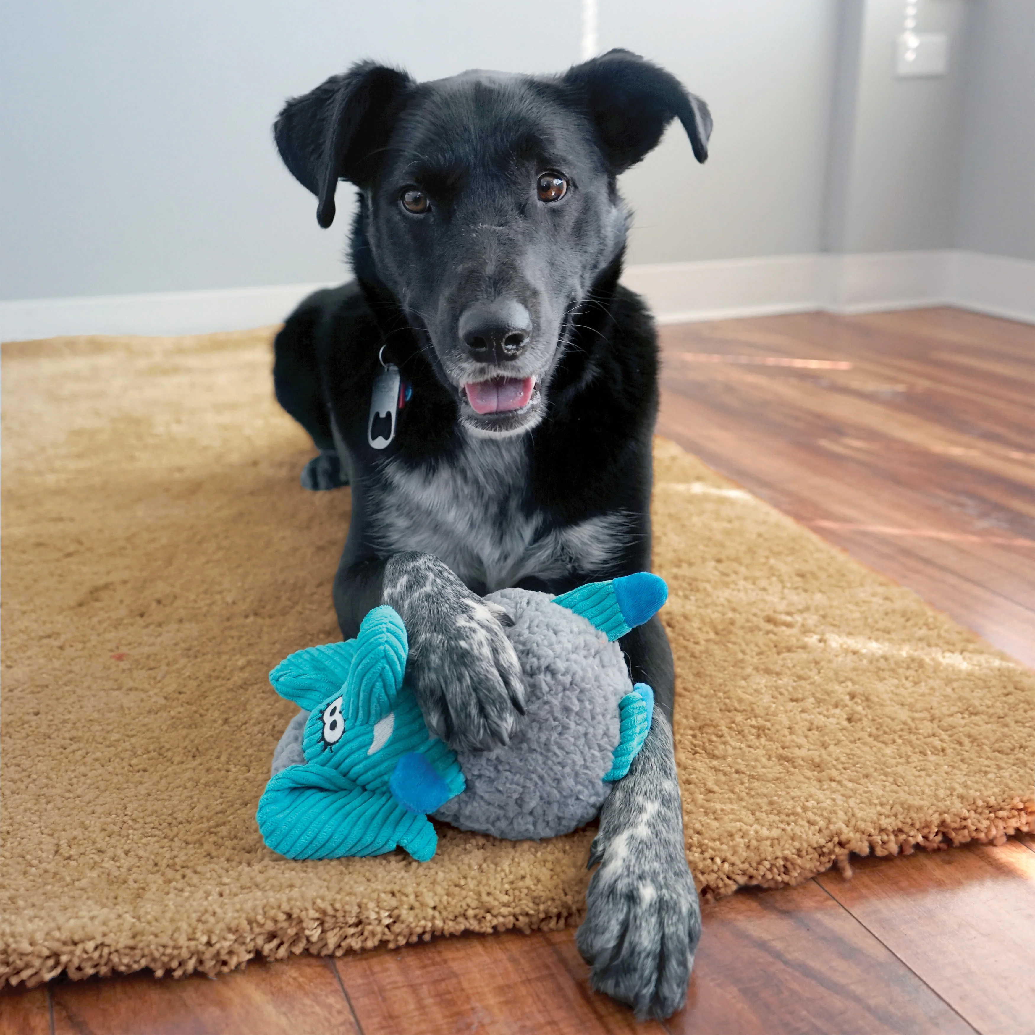 KONG Sherps Floofs White Sheep Dog Toy - Image 5