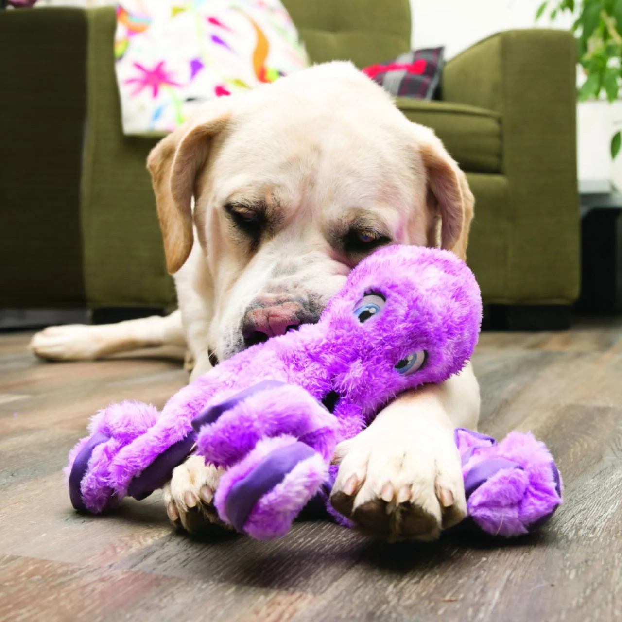 KONG SoftSeas Octopus for Dog Toy - Image 3