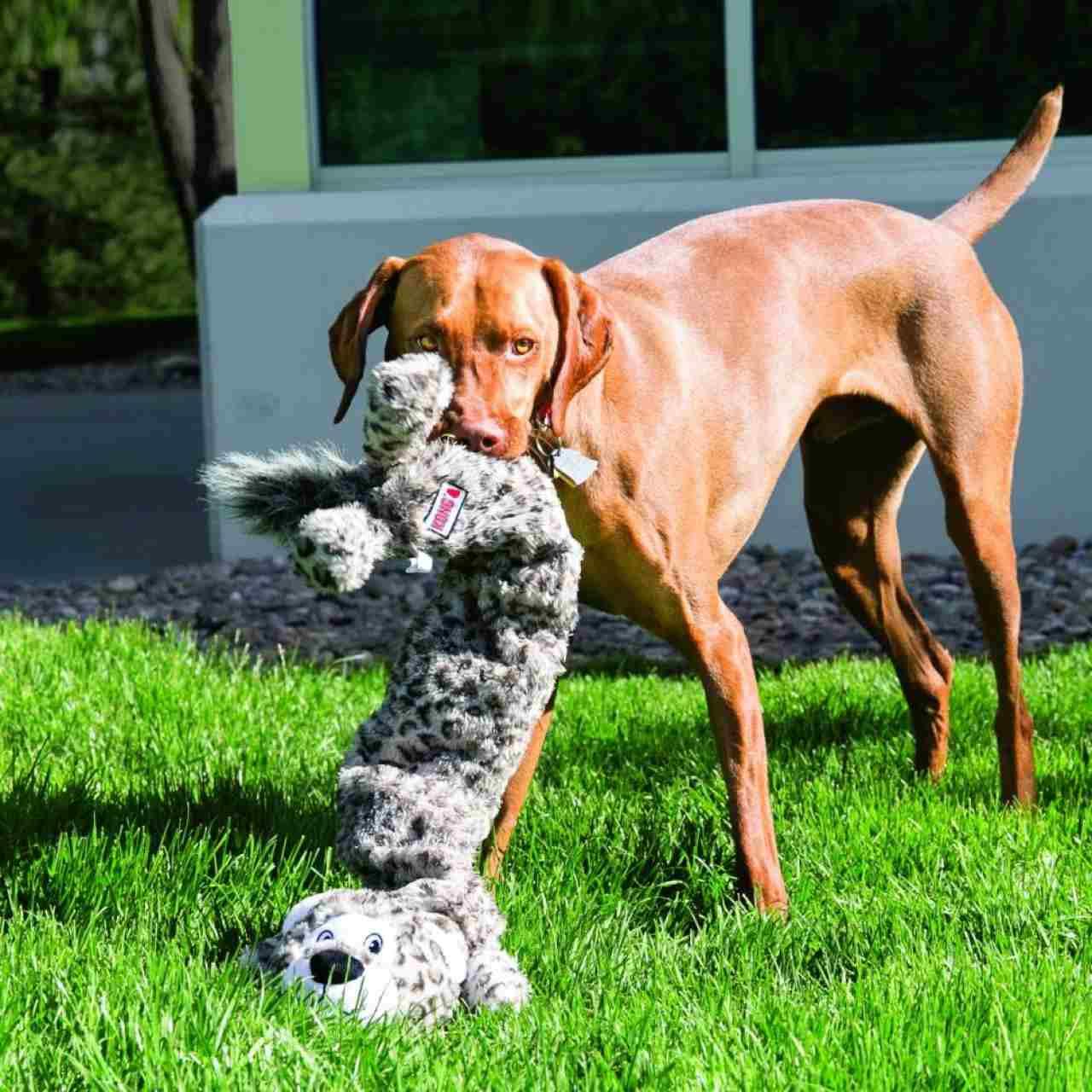 KONG Stretchezz Jumbo Snow Leopard for Dog Toy - Image 2