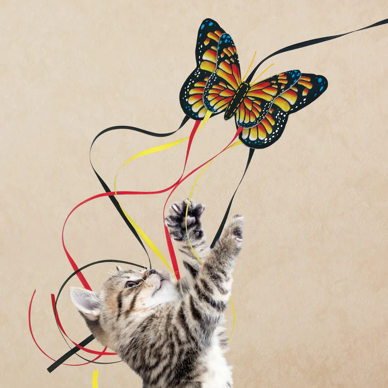 KONG Teaser Butterfly Cat Toy - Image 7
