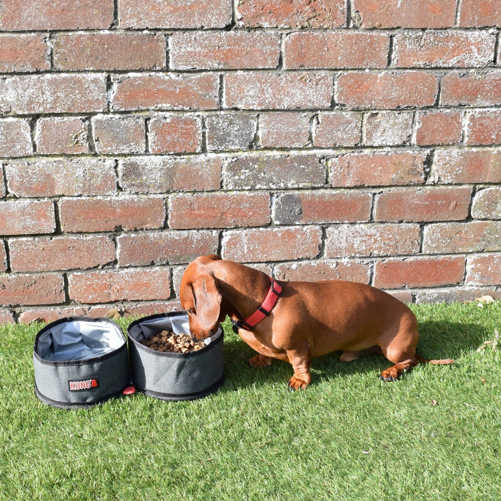KONG Travel Fold-Up Dog Double Bowl - Image 5