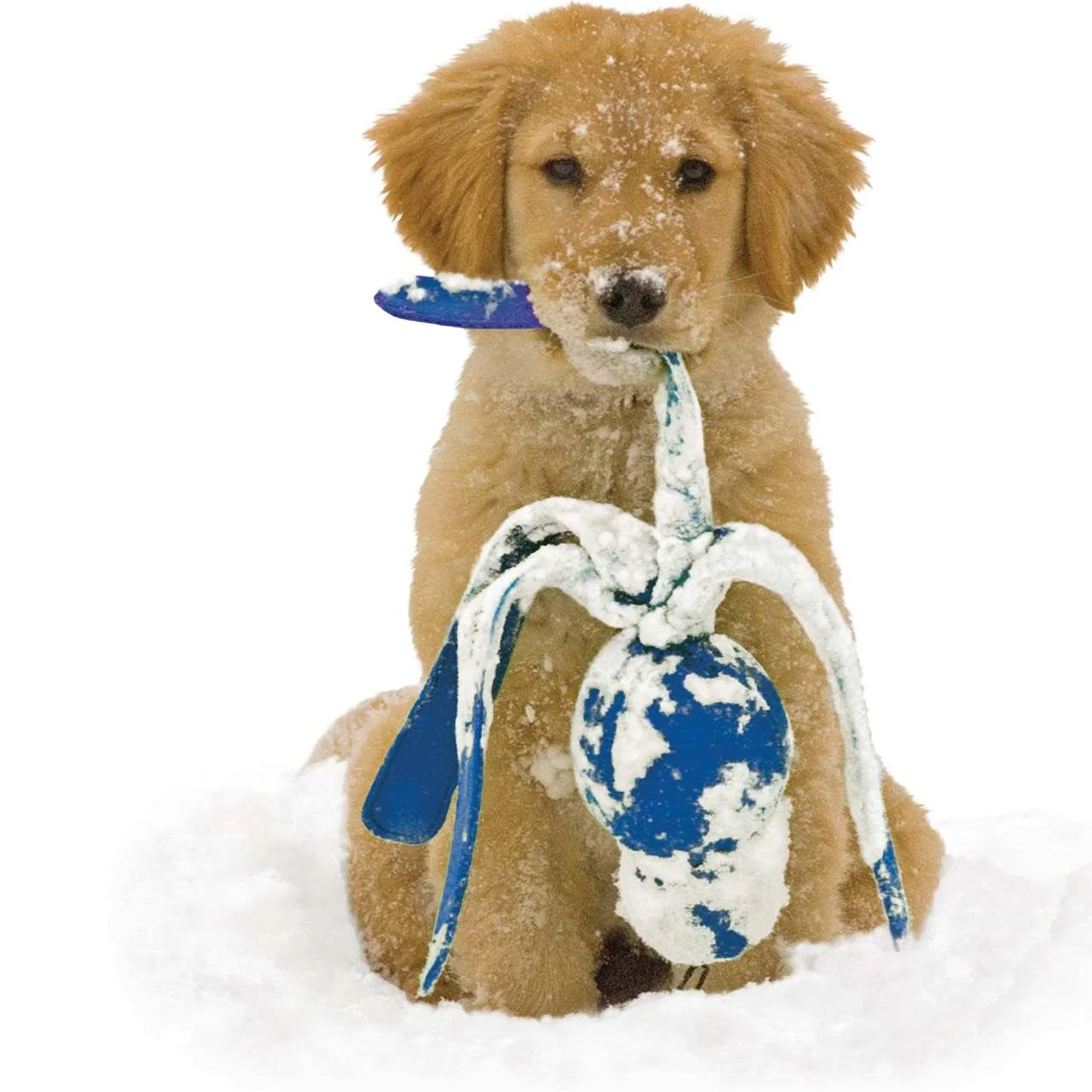 KONG Wubba Assorted Dog Tug Toy - Image 3