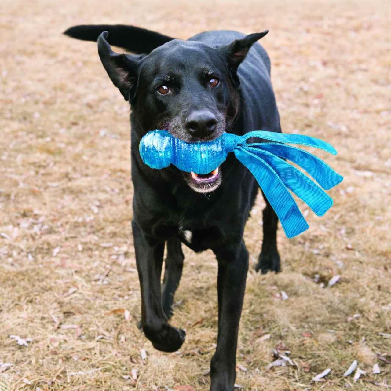 KONG Wubba Comet Dog Toy - Image 3