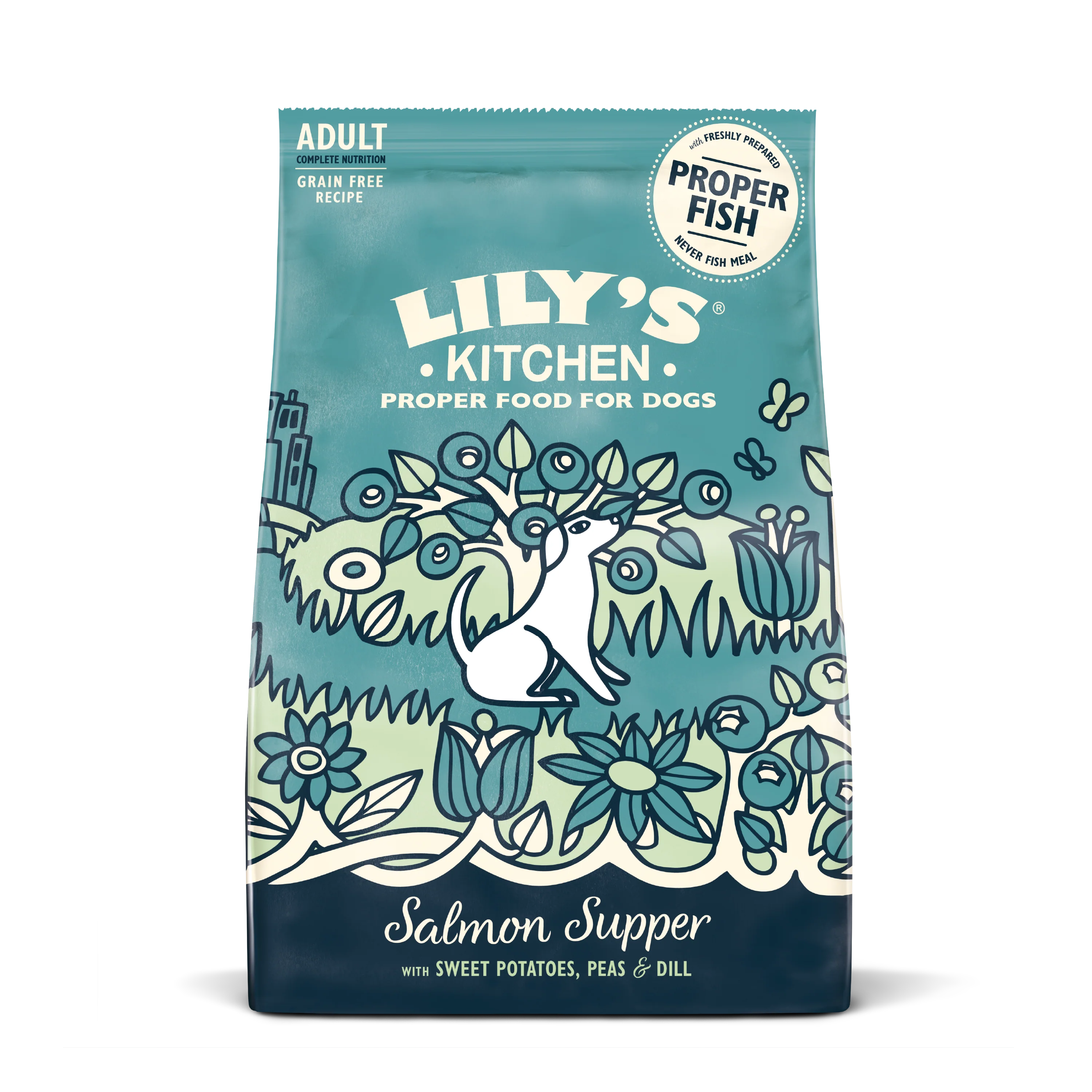 Lily's Kitchen Adult Dry Dog Food - Salmon