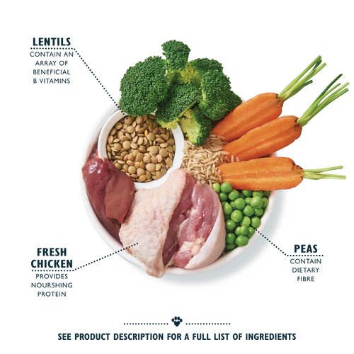 Lily's Kitchen Organic Adult Dry Dog Food - Chicken Bake with Vegetables & Herbs - Image 2