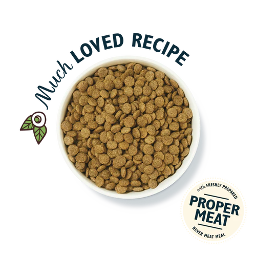 Lily's Kitchen Organic Adult Dry Dog Food - Chicken Bake with Vegetables & Herbs - Image 3