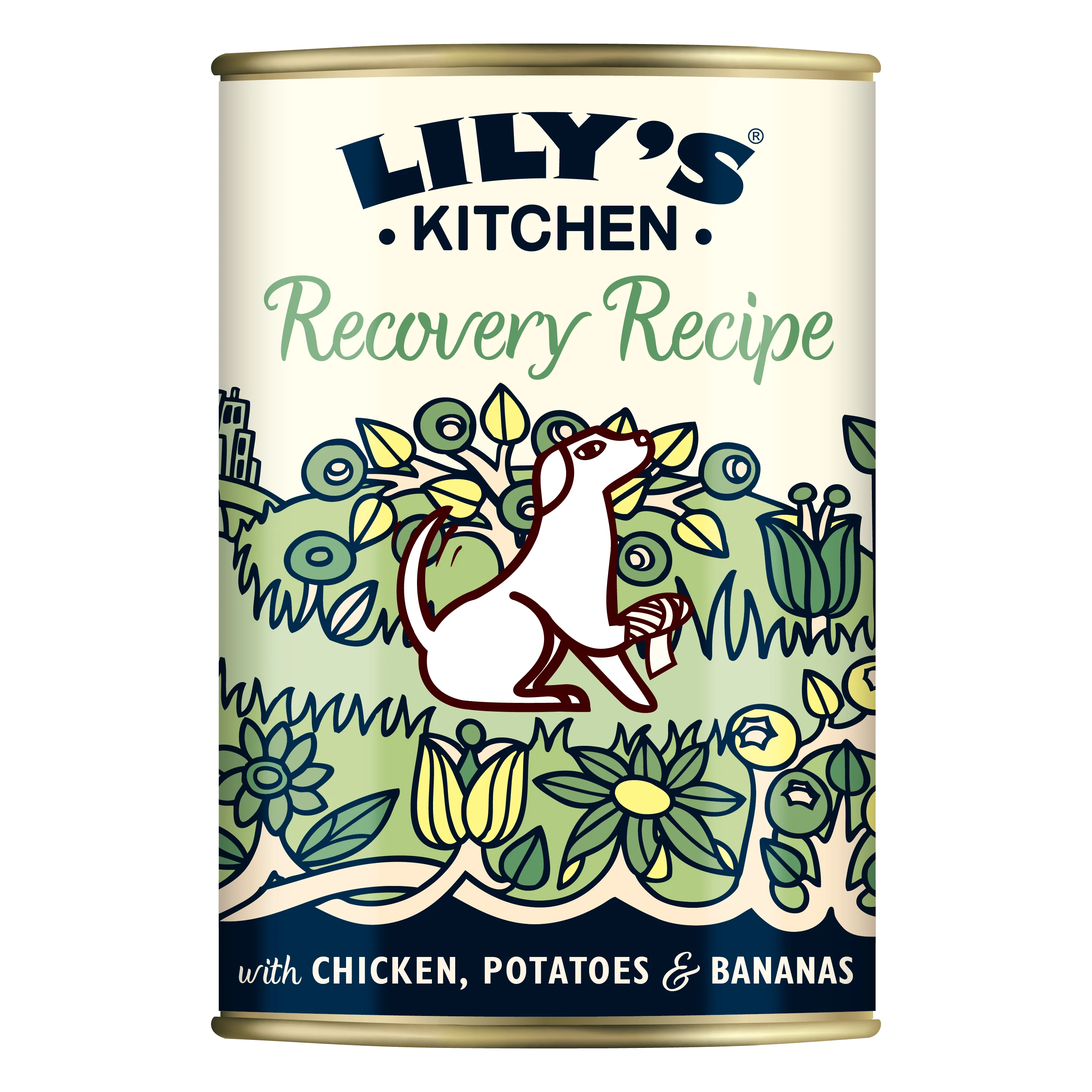Lily's Kitchen Recovery Recipe Wet Dog Food - Chicken, Potatoes & Bananas - Image 2