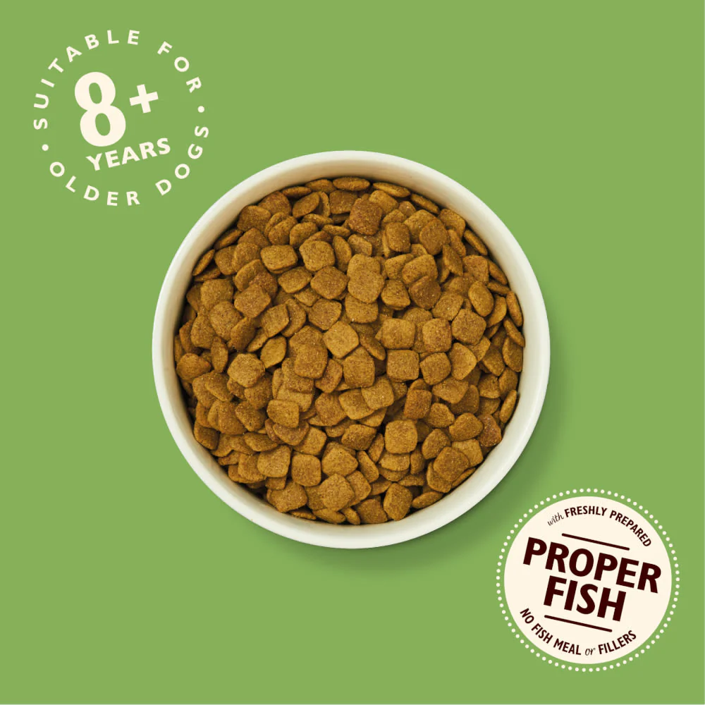 Lily's Kitchen Senior Recipe with Grain Free Dry Dog Food - Turkey Trout & White Fish - Image 4