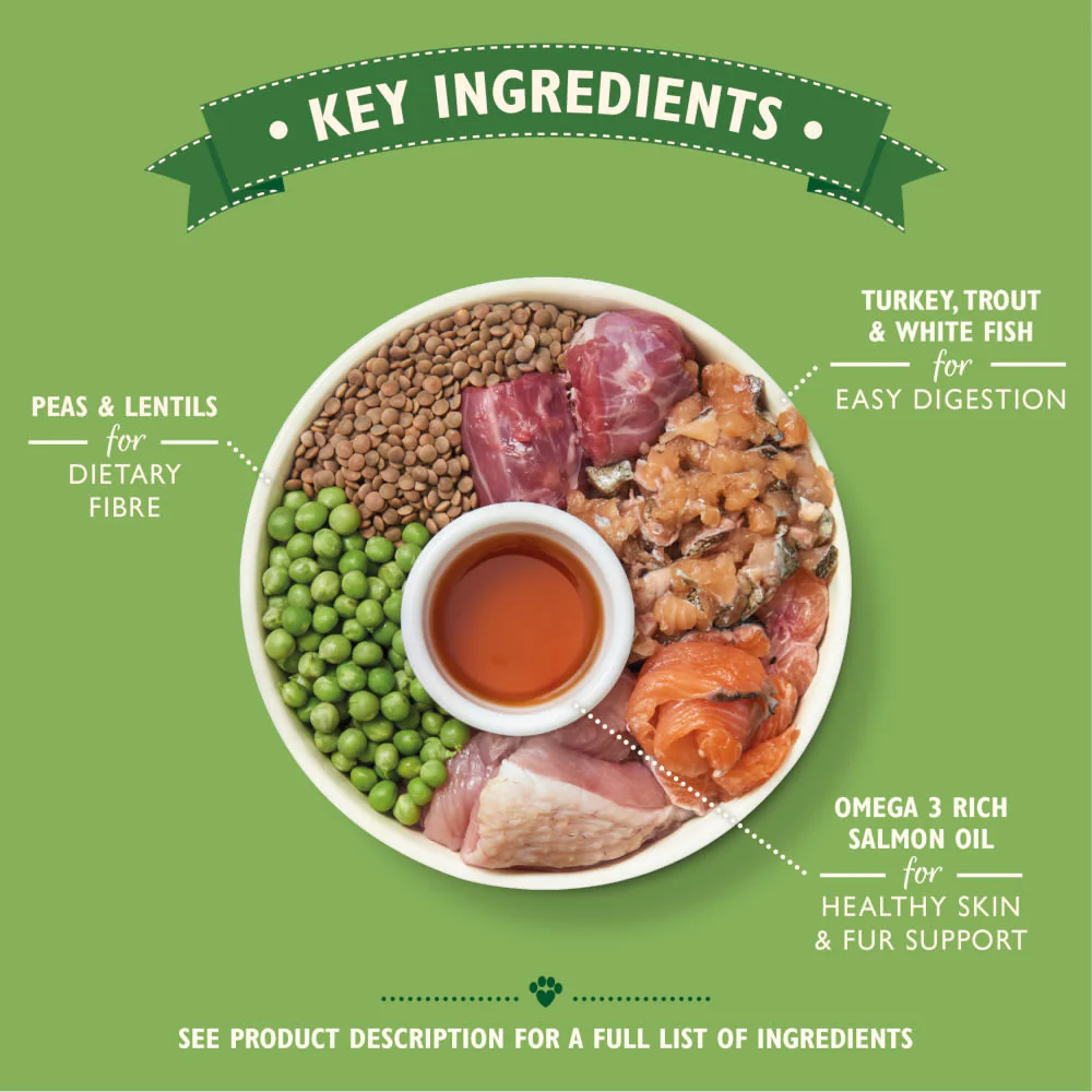 Lily's Kitchen Senior Recipe with Grain Free Dry Dog Food - Turkey Trout & White Fish - Image 5