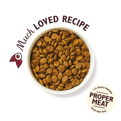 Lily's Kitchen Wild Woodland Walk Adult Dry Dog Food - Image 3