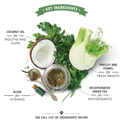 Lily's Kitchen Woofbrush Dental Chew Dog Treats - Image 4