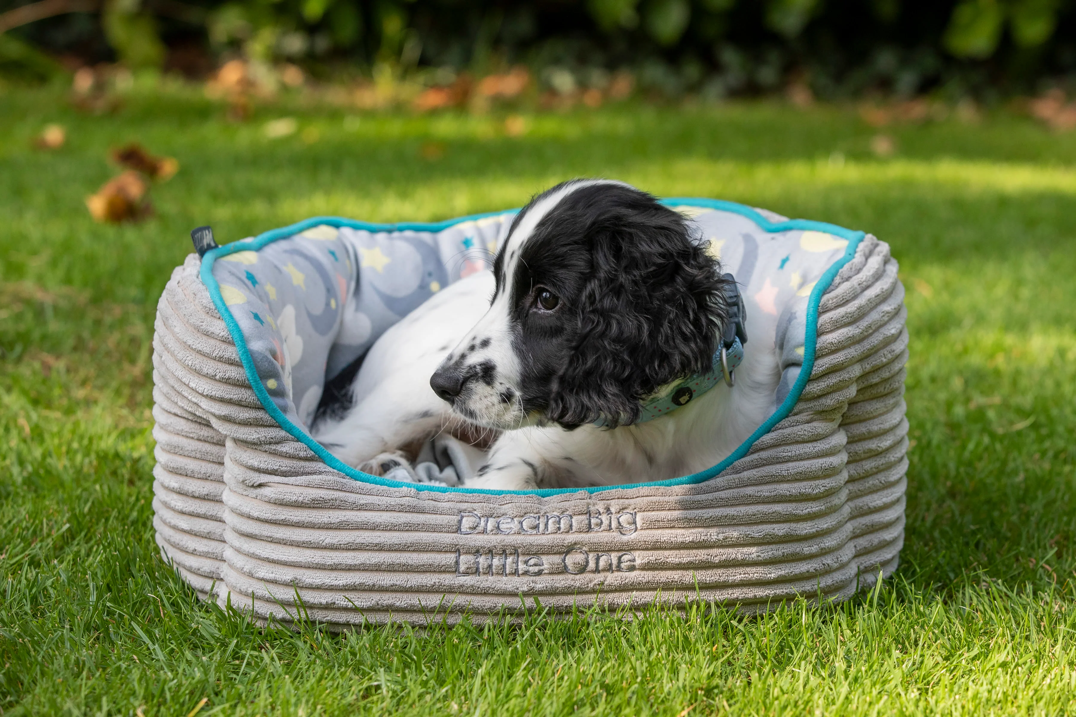 Little Petface Oval Bed for Pets - Image 5