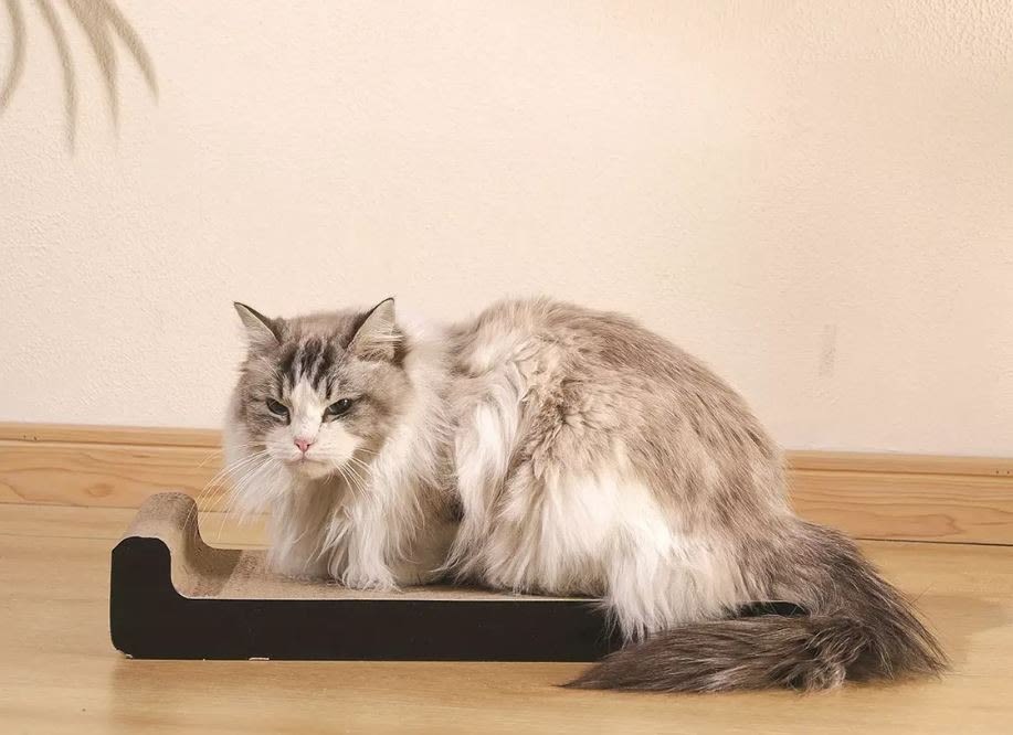 M-Pets My Scratchy Cat Cardboard Scratchers - Montana - Image 3