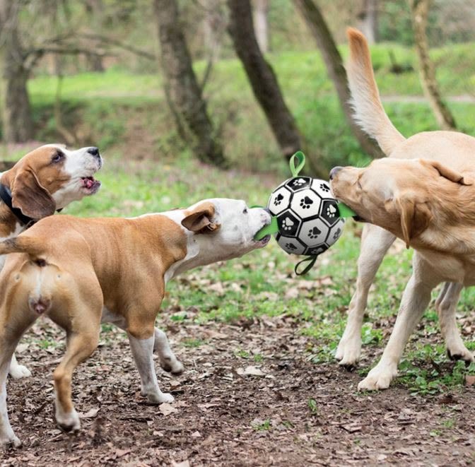 M-Pets Soccer Ball Dog Toy - Image 2