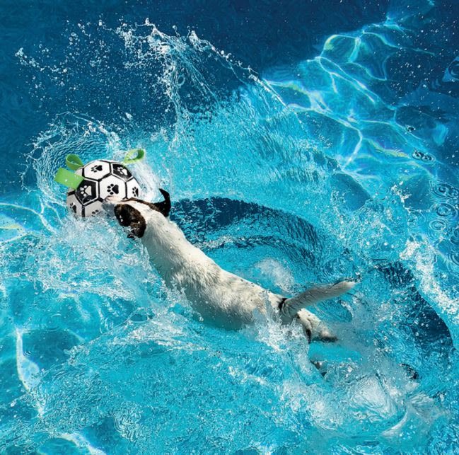 M-Pets Soccer Ball Dog Toy - Image 3