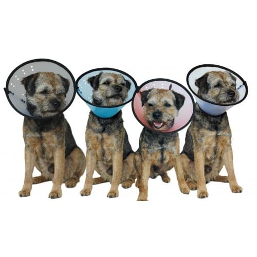 MDC Smart Collar for Dogs - Image 4