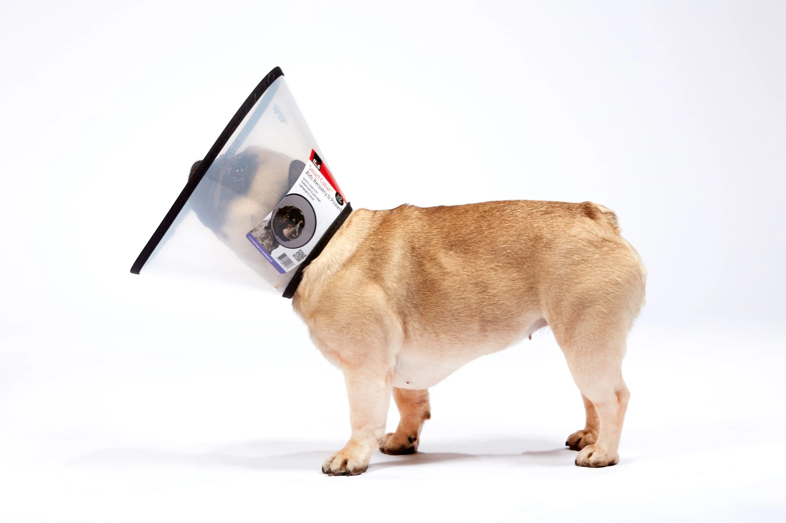 MDC Smart Collar for Dogs - Image 5