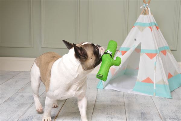 Ministry of Pets Carlos the Cactus Plush Rope Dog Toy - Image 3