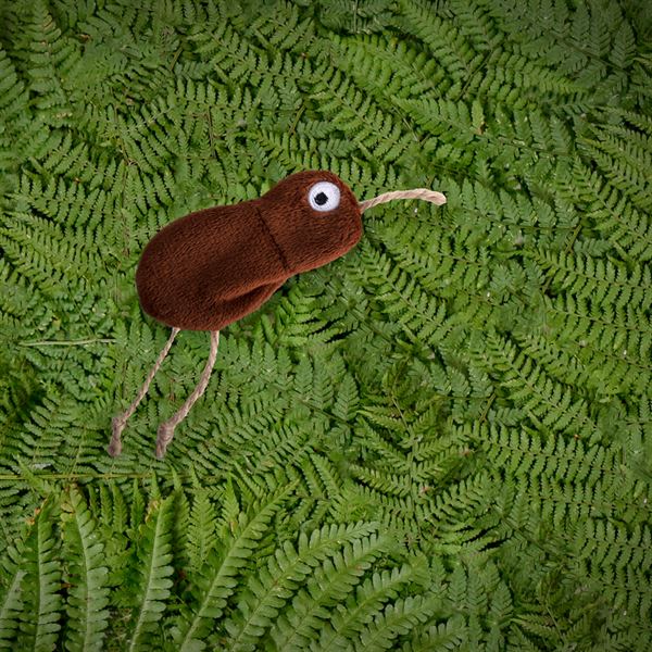 Ministry of Pets Konnie the Kiwi Catnip Tube Cat Toy - Image 3