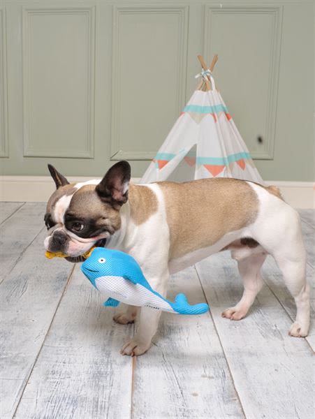 Ministry of Pets Nancy the Narwhal Plush Rope Dog Toy - Image 3