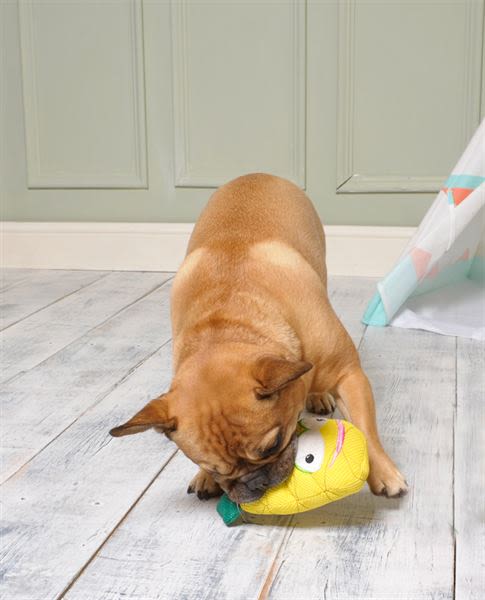Ministry of Pets Penny the Pineapple Plush Rope Dog Toy - Image 2