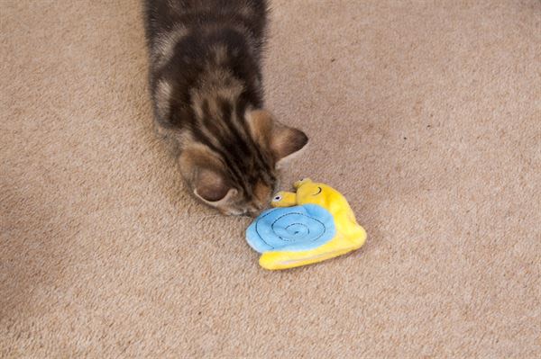 Ministry of Pets Sam the Snail Catnip Tube Cat Toy - Image 3
