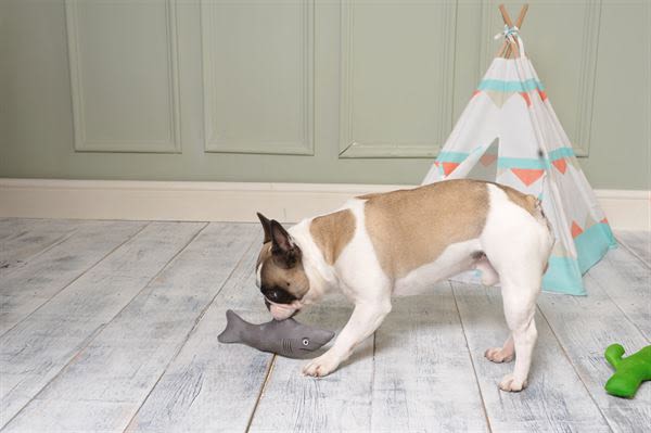 Ministry of Pets Sidney the Shark Squeaky Plush Dog Toy - Image 3