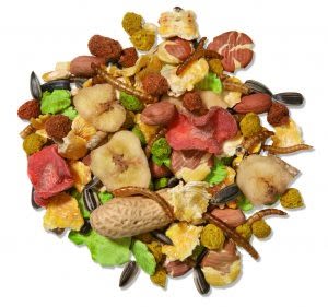 Mr Johnson's Supreme Hamster & Gerbil Mix - Image 2