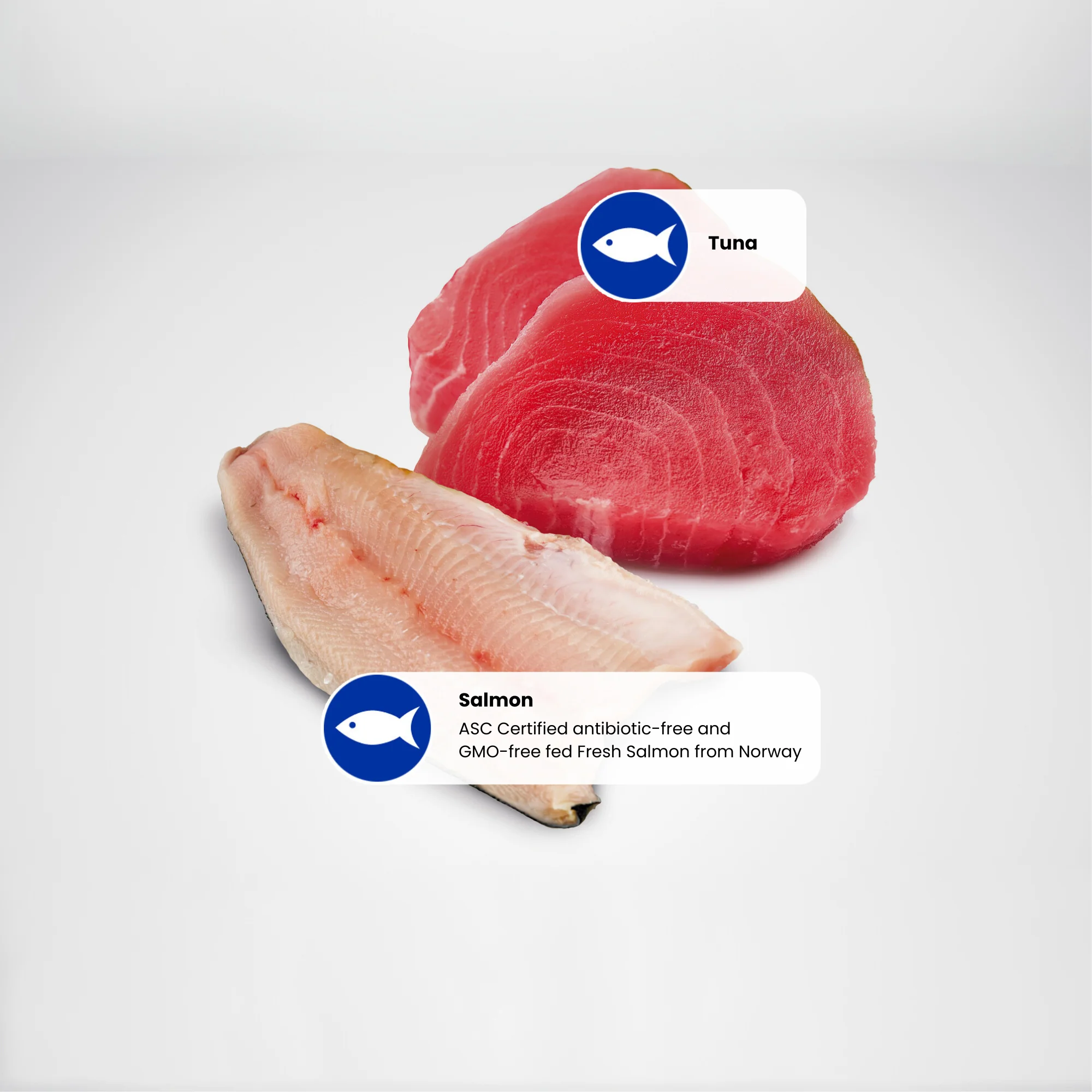 N&D Ocean Adult Wet Cat Food - Tuna & Salmon - Image 2