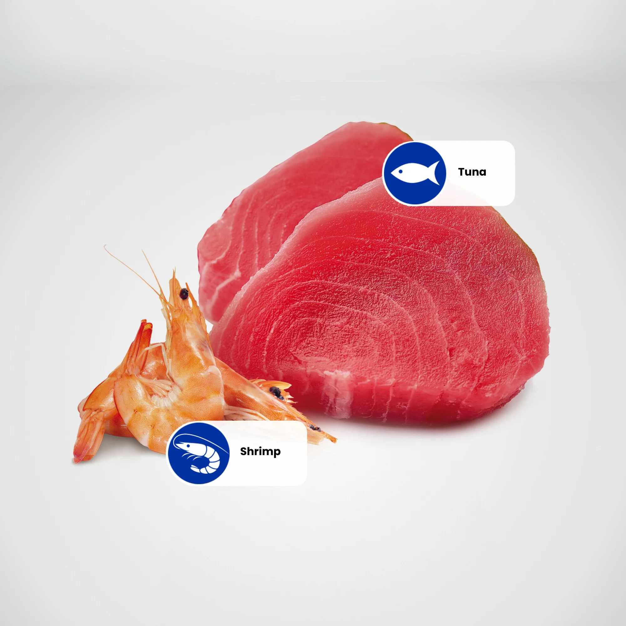 N&D Ocean Adult Wet Cat Food - Tuna & Shrimp - Image 2