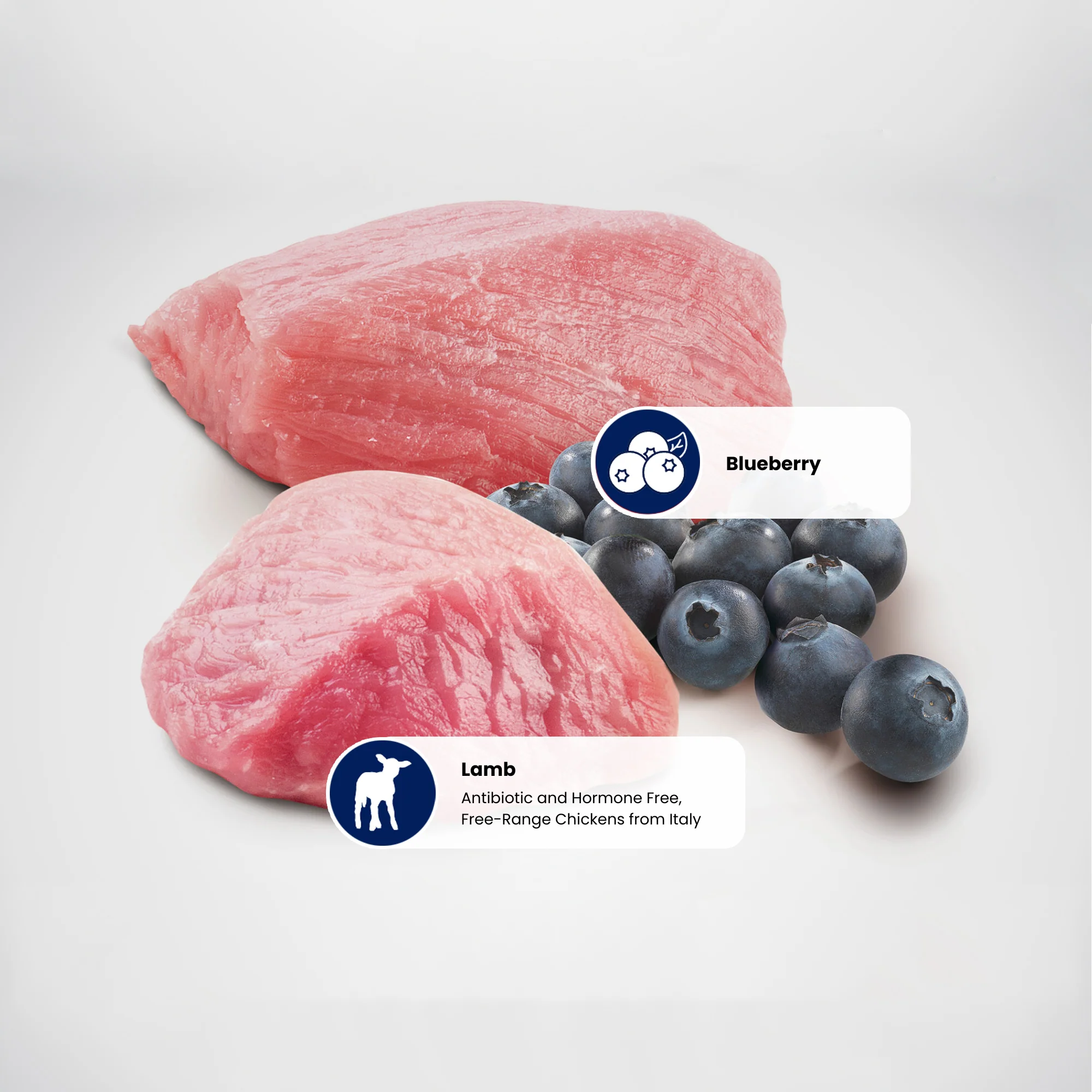 N&D Prime Adult Wet Cat Food - Lamb & Blueberry - Image 3