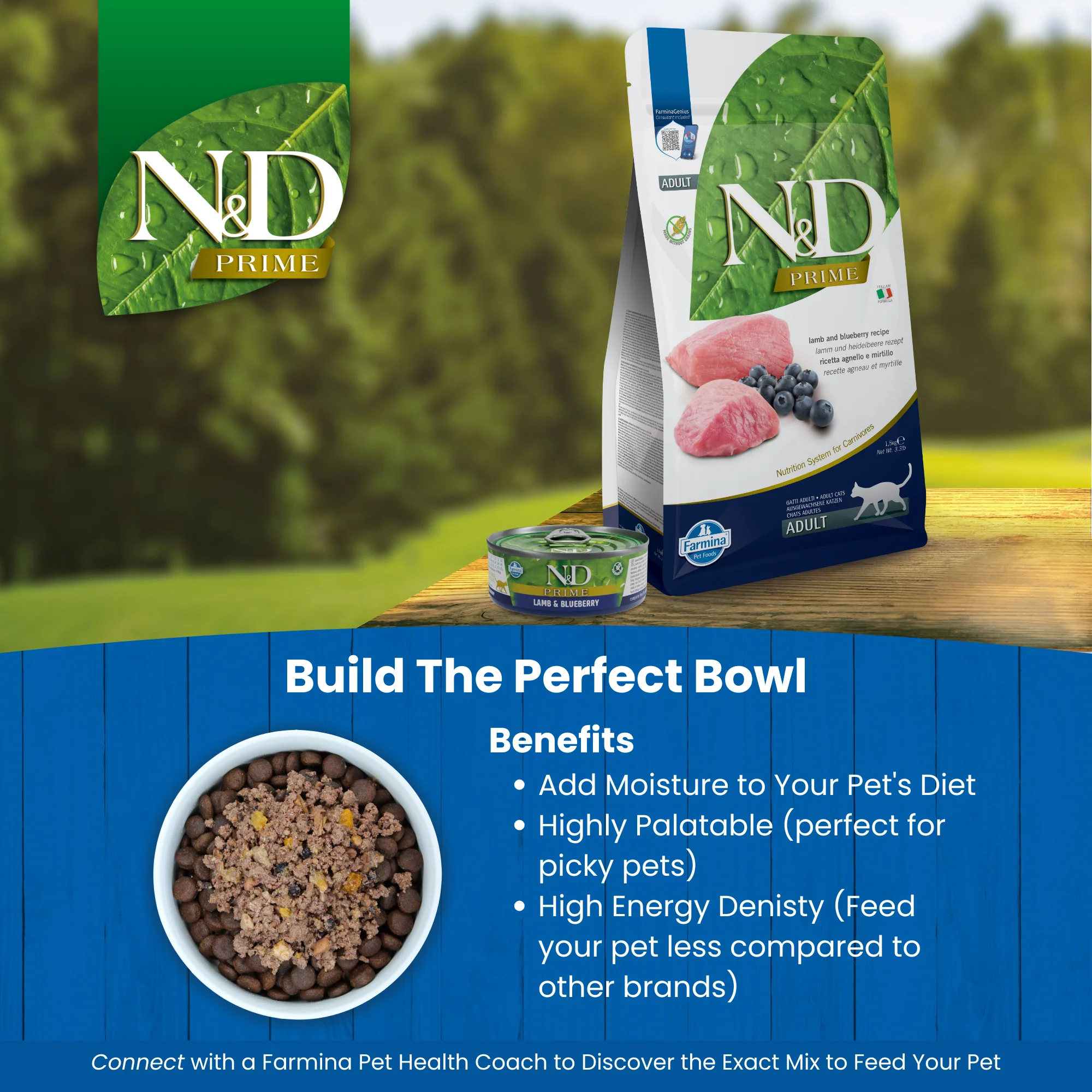 N&D Prime Adult Wet Cat Food - Lamb & Blueberry - Image 5