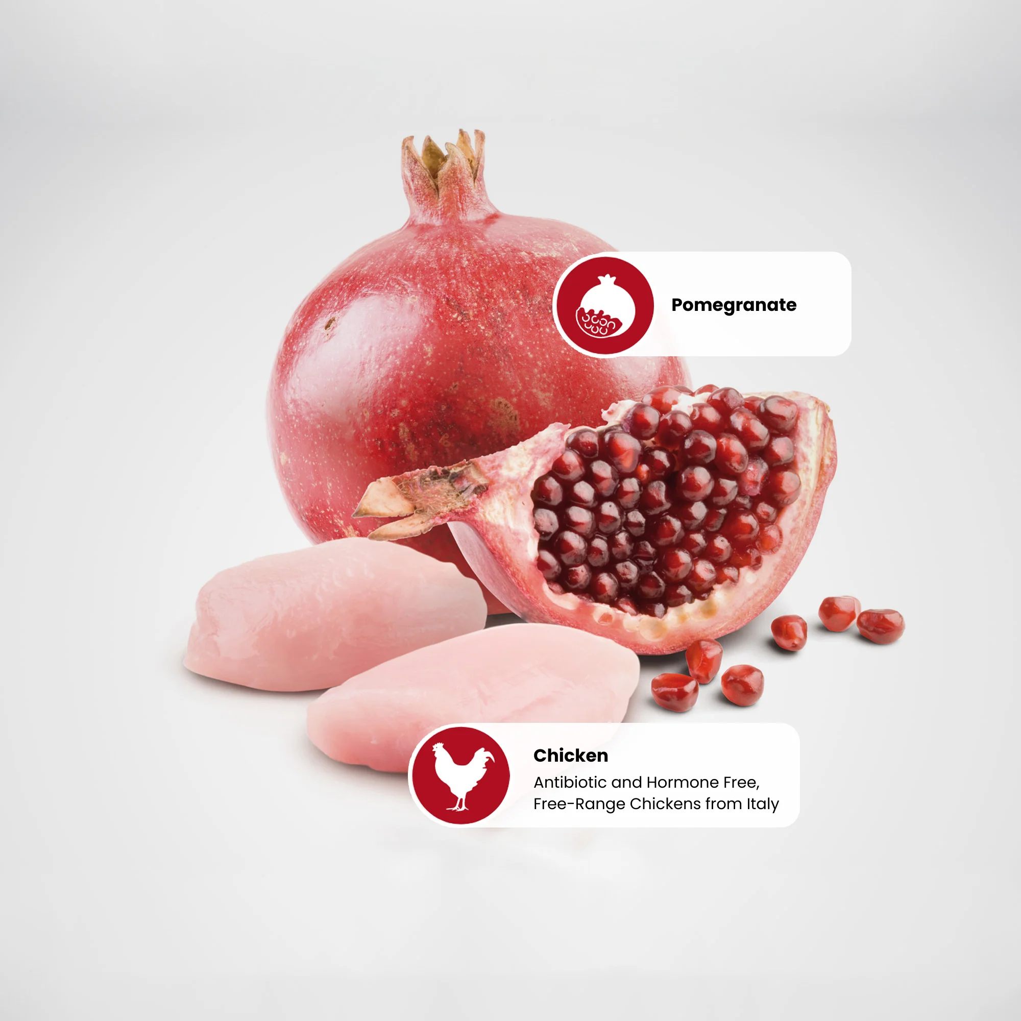 N&D Prime Kitten Wet Cat Food - Chicken & Pomegranate - Image 3