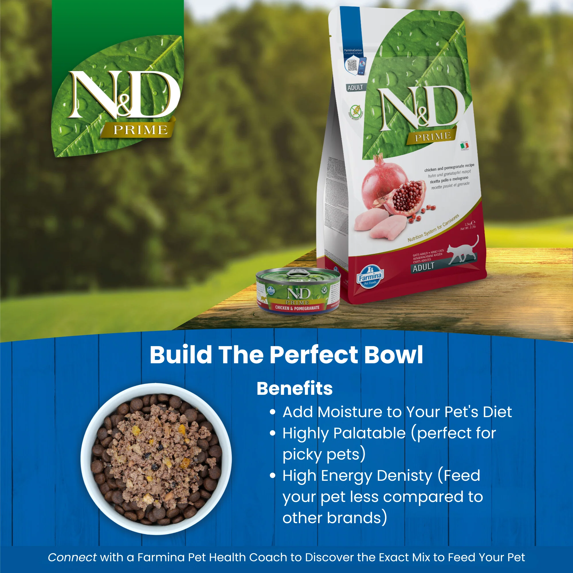 N&D Prime Kitten Wet Cat Food - Chicken & Pomegranate - Image 5