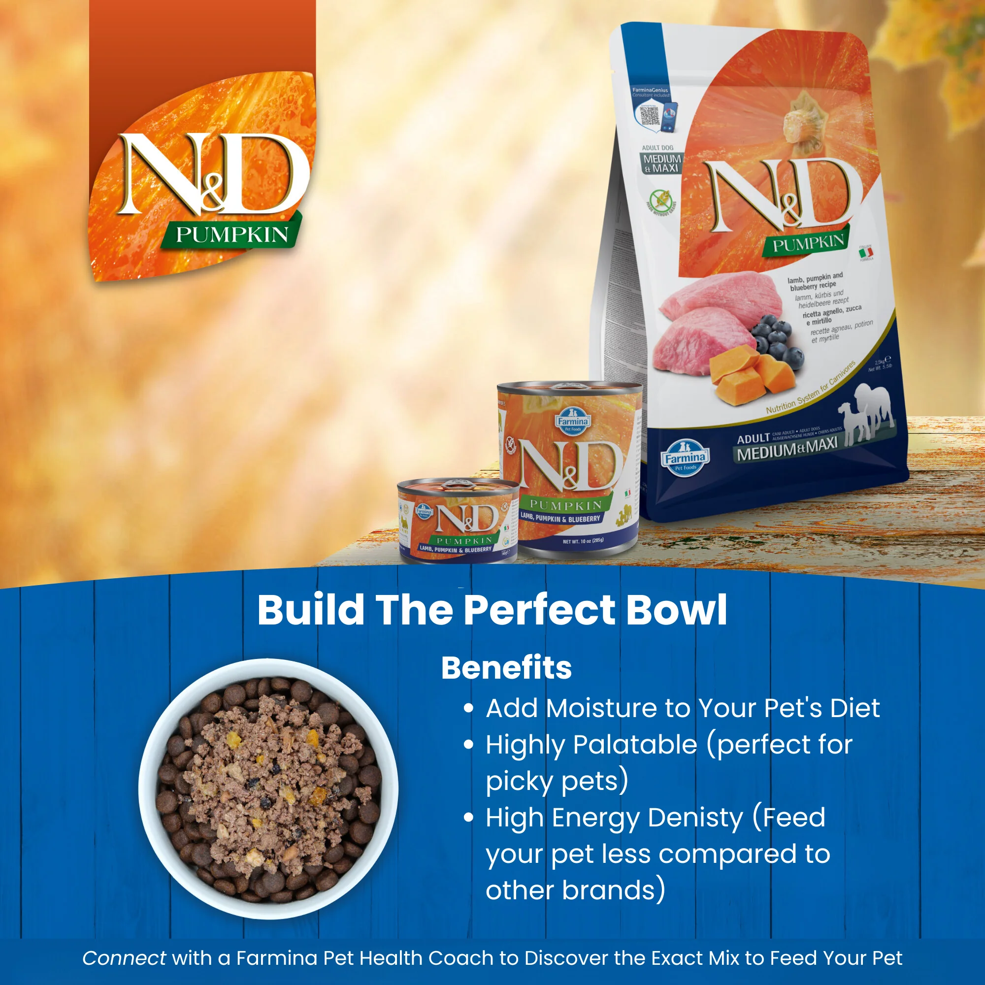 N&D Pumpkin Adult Mini Wet Dog Food - Lamb, Pumpkin & Blueberry - Image 6