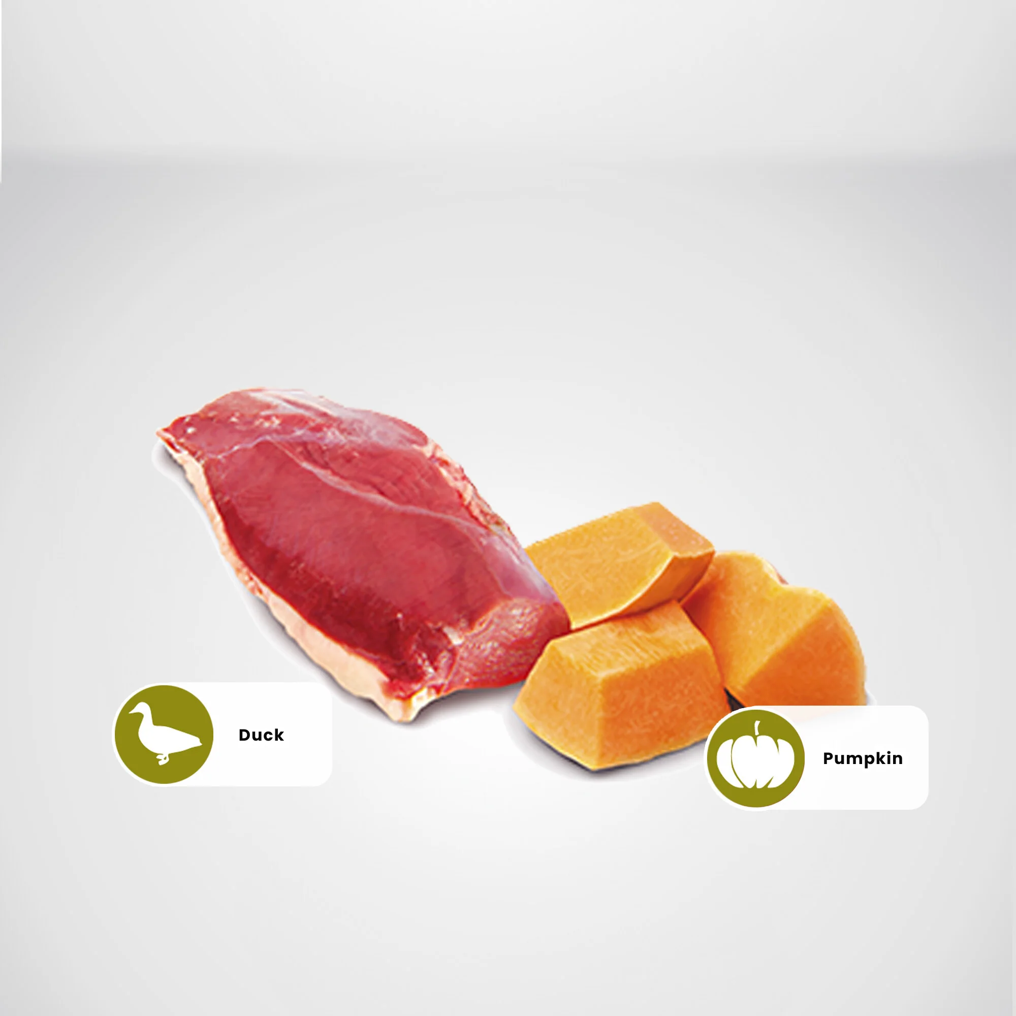 N&D Pumpkin Adult Wet Cat Food - Duck & Pumpkin - Image 3